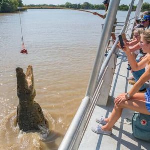 1 Hour Jumping Crocodile Cruise on the Adelaide River at Window of Wetlands,, Darwin, Australia OyMy.com Special Offers, Deals & Discounts in Australia