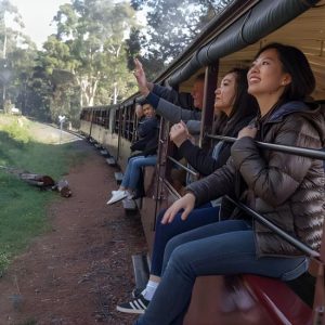 1 day Puffing Billy Steam Train and Wildlife Tour from Melbourne at Mail Exchange Hotel, Melbourne, Australia OyMy.com Special Offers, Deals & Discounts in Australia