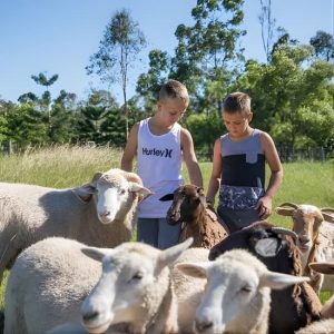 1hr Animal Tour at 1100 Winn Rd, Brisbane, Australia OyMy.com Special Offers, Deals & Discounts in Australia