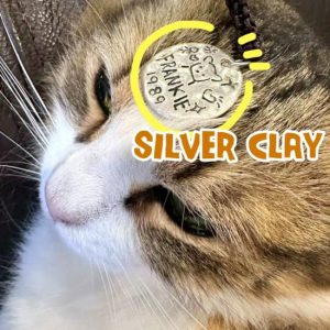 999 Silver Clay Jewellery Making Class at 55 Princes Hwy, Sydney, Australia OyMy.com Special Offers, Deals & Discounts in Australia