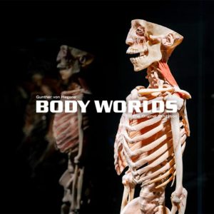 BODY WORLDS: The Anatomy of Happiness at Uptown, Brisbane, Australia OyMy.com Special Offers, Deals & Discounts in Australia