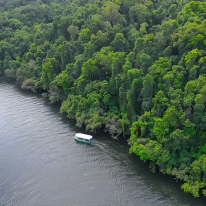 Daintree River Cruise at 5 Stewart St, Port Douglas, Australia OyMy.com Special Offers, Deals & Discounts in Australia