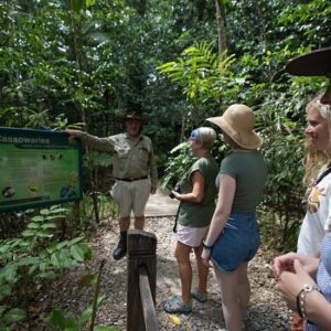 Daintree and Cape Tribulation Full-Day Tour at Cairns Marina, Cairns, Australia OyMy.com Special Offers, Deals & Discounts in Australia