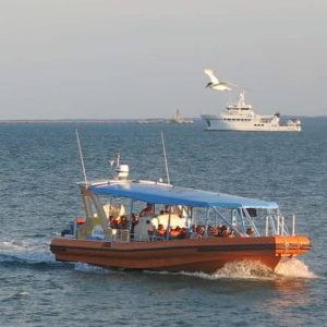 Discover Darwin Harbour 1 hour Darwin Harbour Cruise at 45 Stokes Hill Rd,, Darwin, Australia OyMy.com Special Offers, Deals & Discounts in Australia