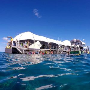 Great Barrier Reef Adventure at Green Island, Cairns, Australia OyMy.com Special Offers, Deals & Discounts in Australia