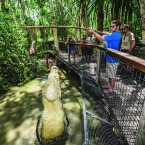 Hartley’s Crocodile Adventures at Hartley’s Crocodile Adventures, Cairns, Australia OyMy.com Special Offers, Deals & Discounts in Australia