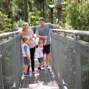 Illawarra Fly Treetop Walk at Illawarra Fly Treetop Adventures, Sydney, Australia OyMy.com Special Offers, Deals & Discounts in Australia