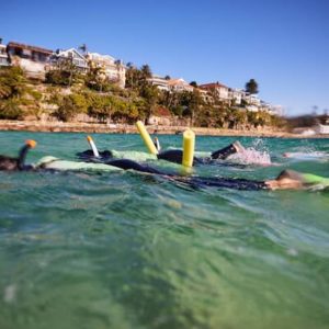 Manly Snorkel Trip and Nature Walk with Local Guide at Shelly Head Lookout, Sydney, Australia OyMy.com Special Offers, Deals & Discounts in Australia