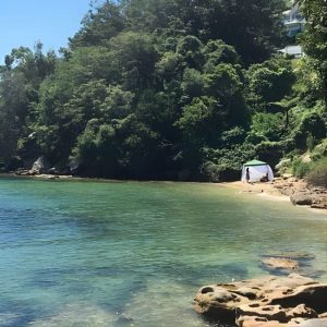 Our Best Hidden Harbour Beaches Tour at Rose Bay Wharf, Sydney, Australia OyMy.com Special Offers, Deals & Discounts in Australia