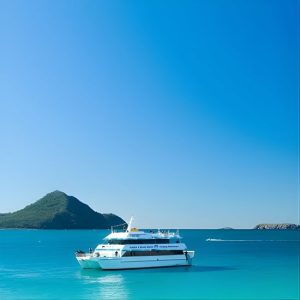 Port Stephens: Dolphin Discovery Cruise at Moonshadow-TQC Cruises Boarding, Newcastle, Australia OyMy.com Special Offers, Deals & Discounts in Australia