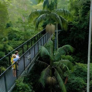 Premium Springbrook Natural Bridge, Glow Worm Cave & Skywalk at Northbank Plaza, Brisbane, Australia OyMy.com Special Offers, Deals & Discounts in Australia