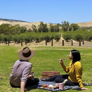Private Picnic and Wine Tasting Experience in Barossa Valley at Jacob’s Creek Cellar Door, Adelaide, Australia OyMy.com Special Offers, Deals & Discounts in Australia