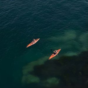 Single Kayak Hire – 4 Hours at Manly Kayak Centre, Sydney, Australia OyMy.com Special Offers, Deals & Discounts in Australia