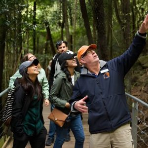 Small Group Blue Mountains Day Trip from Sydney with Scenic World at PARKROYAL Darling Harbour, Sydney, Sydney, Australia OyMy.com Special Offers, Deals & Discounts in Australia