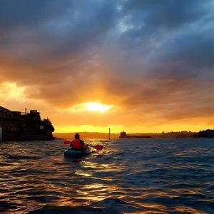 Sunrise Paddle Session on Syndey Harbour at The Flying Bear, Sydney, Australia OyMy.com Special Offers, Deals & Discounts in Australia
