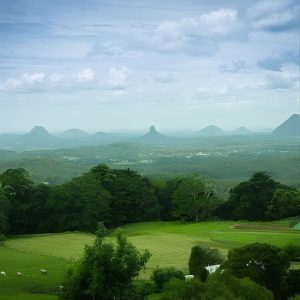 Sunshine Coast Hinterland and Noosa Day Trip from Brisbane Incl Eumundi Markets at 222 Margaret St, Brisbane, Australia OyMy.com Special Offers, Deals & Discounts in Australia