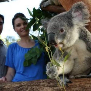 Taronga Zoo + Sydney Harbour Hopper Pass (24/48h) at Taronga Zoo Sydney, Sydney, Australia OyMy.com Special Offers, Deals & Discounts in Australia