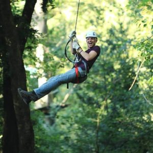 Treetops Adventure: Belgrave Park at Belgrave Park, Melbourne, Australia OyMy.com Special Offers, Deals & Discounts in Australia