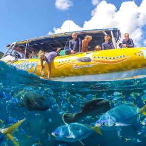 Whitsundays Ocean Rafting: Snorkel, Walk & Whitehaven Beach at Coral Sea Marina, Cairns, Australia OyMy.com Special Offers, Deals & Discounts in Australia