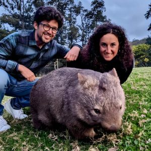 Wild Wombat and Kangaroo Day Tour from Sydney at 22 Railway Colonnade Dr, Sydney, Australia OyMy.com Special Offers, Deals & Discounts in Australia